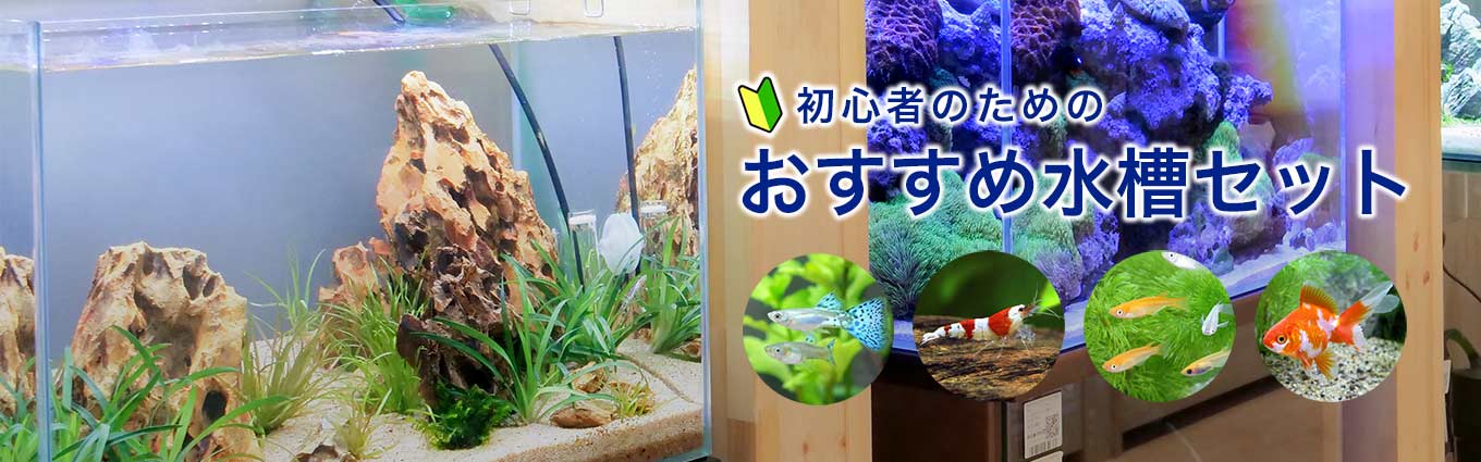 海水魚水槽セット - その他