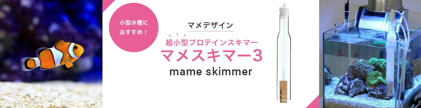 マメスキマー3