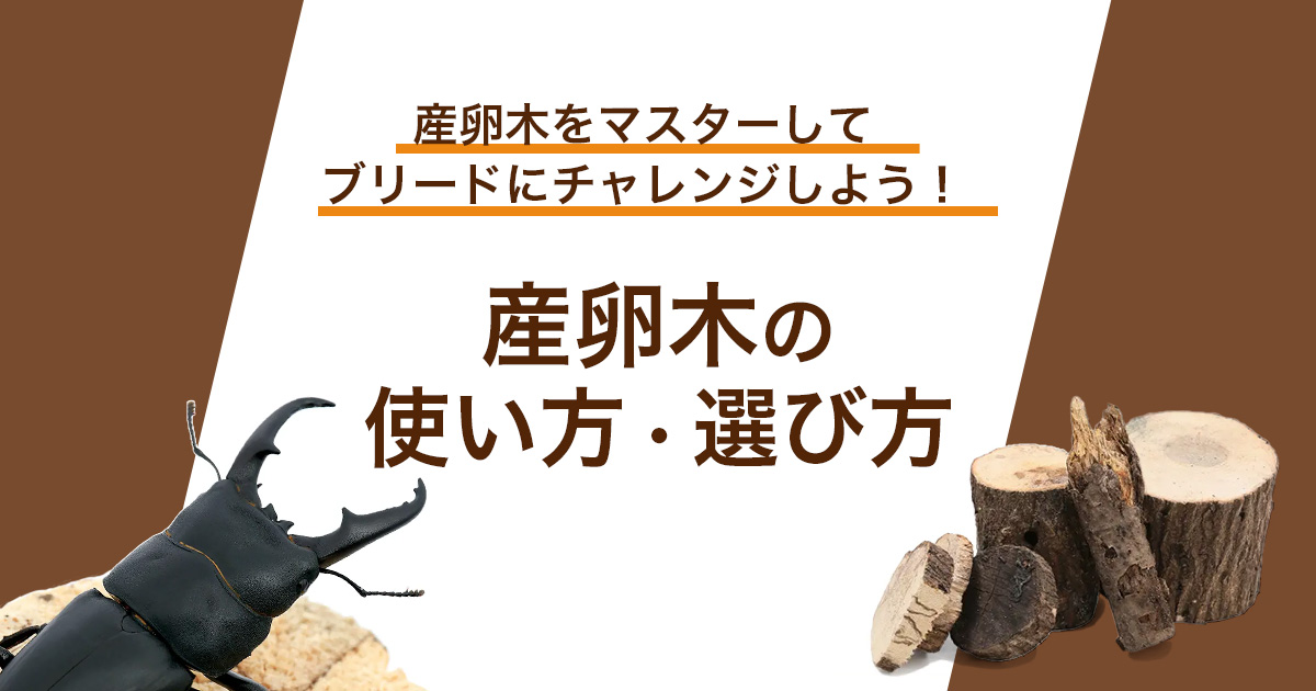 産卵木の使い方・選び方 | チャーム