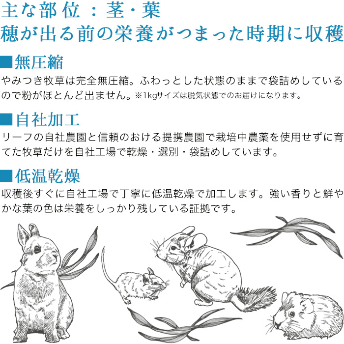 「やみつき牧草」の特徴
