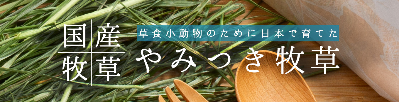 トップバナー