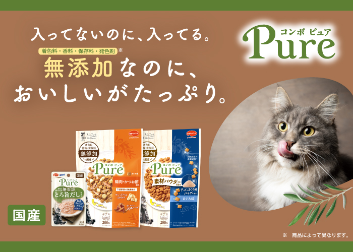 コンボピュア　キャット