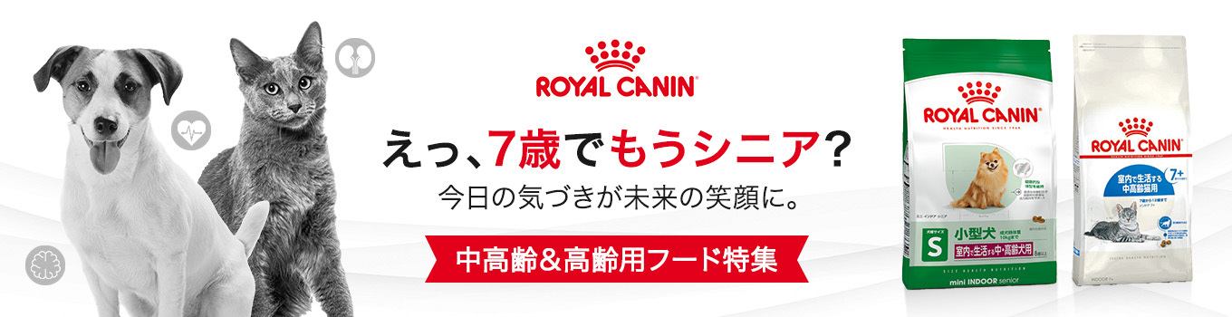 えっ、7歳でもうシニア？｜ロイヤルカナンの中高齢犬＆高齢犬フードでエイジングケア