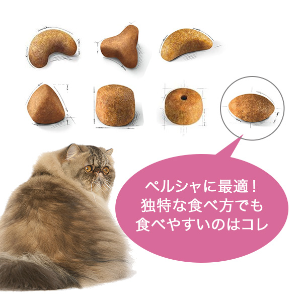 キャットフードのキブル