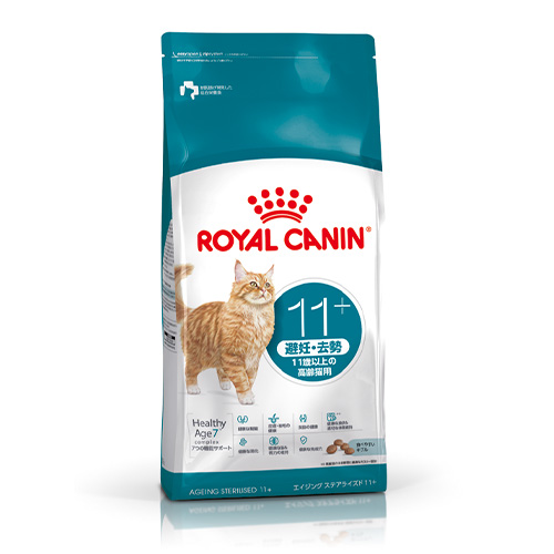 エイジング ステアライズド 11＋