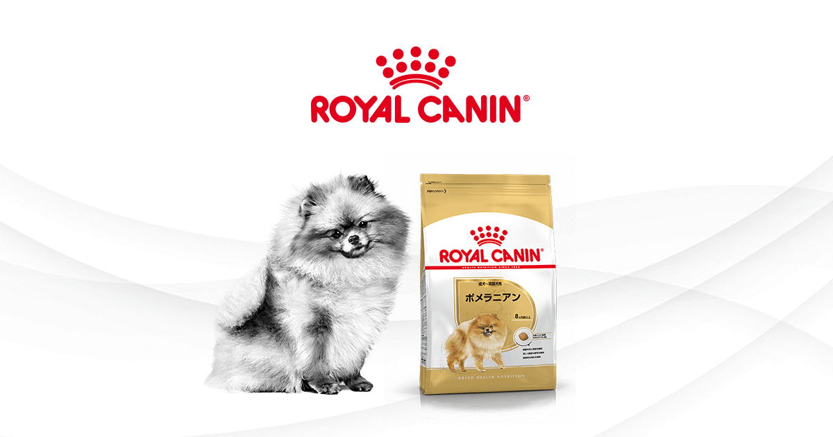 ポメラニアンにはポメラニアン専用フードを | ロイヤルカナン犬