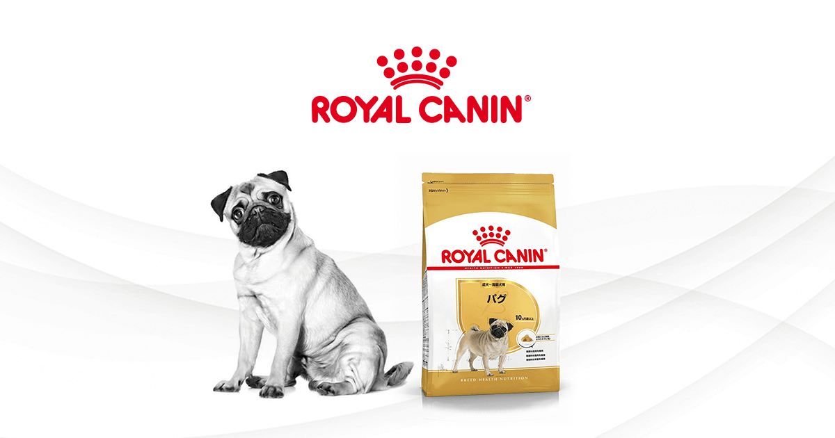 パグにはパグ専用フードを | ロイヤルカナン犬種別専用フード ブリード